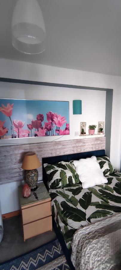 Joanna'S Studio , Key Locker By Whatsapp Own Entrance, Own Bathroom Youghal Bagian luar foto